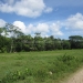Cayo Belize Riverfront Land for Sale 19