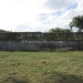 Belize Residential Lot in San Ignacio 6