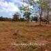 40 Acres with 685 Ft of Oceanfront in Northern Belize6