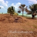 40 Acres with 685 Ft of Oceanfront in Northern Belize8