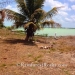 40 Acres with 685 Ft of Oceanfront in Northern Belize9