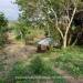 Belize-Residential-Lot-with-Casita15
