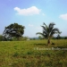 Belize Land for Sale Cayo District 4