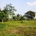 Belize Land for Sale Cayo District 5