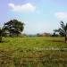 Belize Land for Sale Cayo District 6