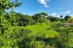 Belize-Eco-Friendly-Luxury-Home27