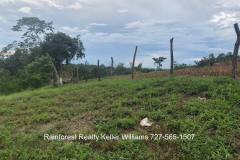 Belize-2-Acre-Prime-Land-South-of-SI10