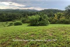 Belize-2-Acre-Prime-Land-South-of-SI11