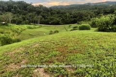 Belize-2-Acre-Prime-Land-South-of-SI13