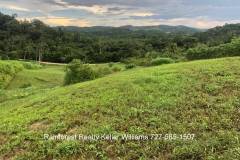 Belize-2-Acre-Prime-Land-South-of-SI17