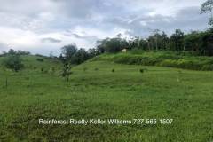 Belize-2-Acre-Prime-Land-South-of-SI2