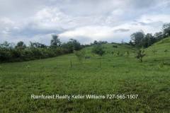 Belize-2-Acre-Prime-Land-South-of-SI3