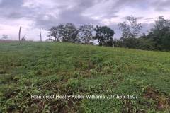 Belize-2-Acre-Prime-Land-South-of-SI4
