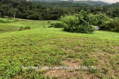 Belize-2-Acre-Prime-Land-South-of-SI5