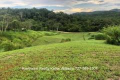 Belize-2-Acre-Prime-Land-South-of-SI7