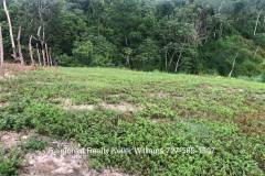 Belize-2-Acre-Prime-Land-South-of-SI9