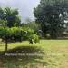 Belize-Fenced-Lot-in-Residential-Area-1