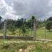 Belize-Fenced-Lot-in-Residential-Area-4