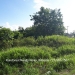 Belize-Double-Residential-Lots-For-Sale3