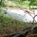 Belize-4-acre-lot-with-beautiful-Riverfront7