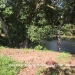 6.597 Acres Stunning River Front Lot7