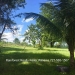Belize-36-Acres-with-Home-20