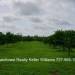 Belize-Sustainable-150-Acre-Organic-Farm13