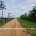 Belize-Sustainable-150-Acre-Organic-Farm18
