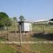 Belize-Sustainable-150-Acre-Organic-Farm22