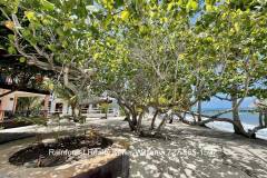 Belize-Seafront-Condo-Tranquility-Beach1