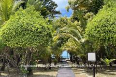 Belize-Seafront-Condo-Tranquility-Beach35