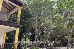 Belize-Seafront-Condo-Tranquility-Beach8