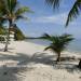 Belize-Seaview-Condo-in-Los-Porticos13
