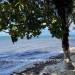 Belize-Beachfront-Cabana-Maya-Beach11