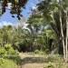 Belize-5.5-Acre-Ready-to-Build-in-Big-Falls-3