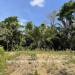 Belize-5.5-Acre-Ready-to-Build-in-Big-Falls-6
