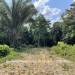 Belize-5.5-Acre-Ready-to-Build-in-Big-Falls-7