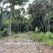 Belize-5.5-Acre-Ready-to-Build-in-Big-Falls-8