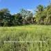 Belize-Ready-to-Build-lot-in-Riversdale1