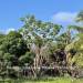 Belize-Ready-to-Build-lot-in-Riversdale2