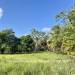 Belize-Ready-to-Build-lot-in-Riversdale3