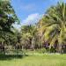 Belize-Ready-to-Build-lot-in-Riversdale4