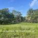 Belize-Ready-to-Build-lot-in-Riversdale7