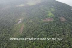 Belize-10-acres-divided-into-55-lots13