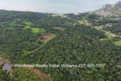 Belize-10-acres-divided-into-55-lots14