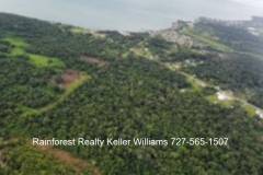 Belize-10-acres-divided-into-55-lots15