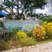 Belize 3 homes on 1.57 Acres for sale- Green House