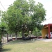 OH031704SI_Home in Maya Vista San Ignacio Belize for Sale63