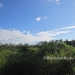 Belize Riverfront property for sale on 1.17 acres5