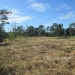Belize Riverfront property for sale on 1.17 acres6